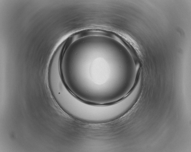 X0000116491280200912091413