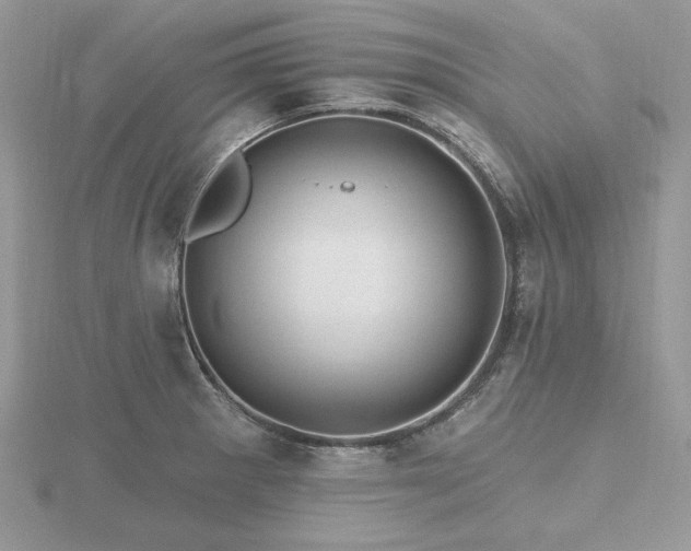 X0000116491281200912091413