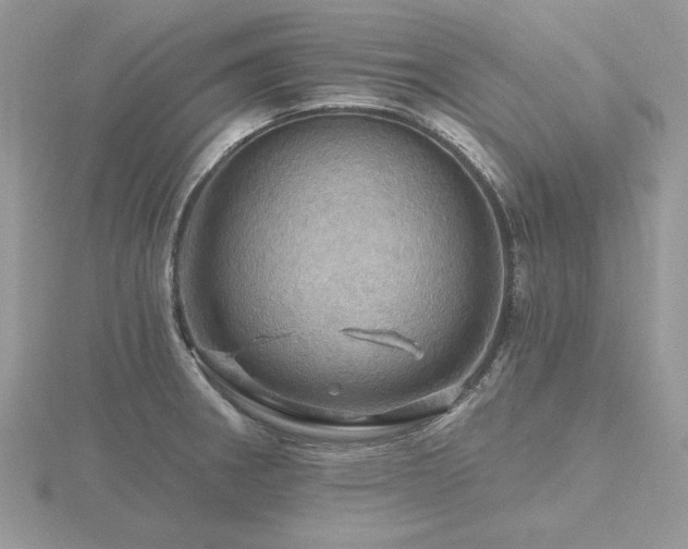 X0000116491282200912091413