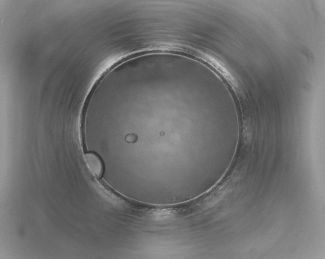 X0000116491283200912091413