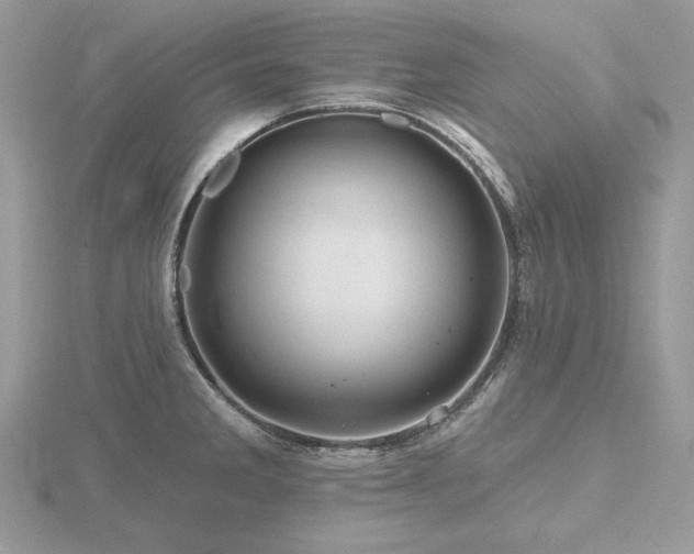 X0000116491285200912091413