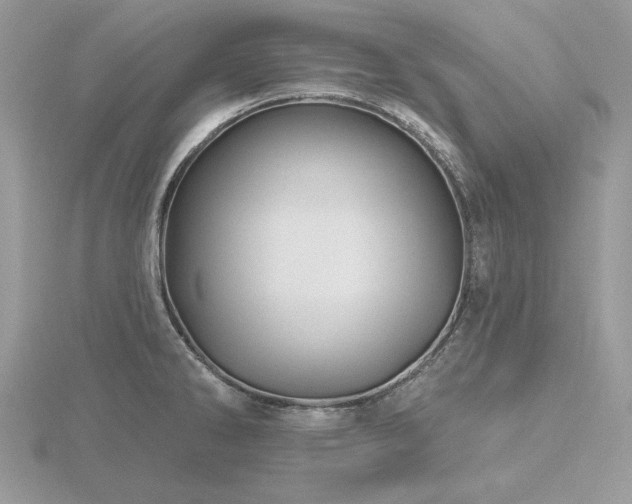 X0000116491286200912091413