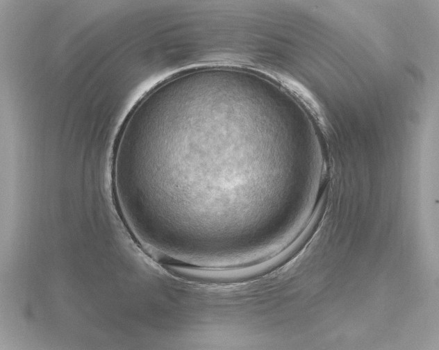 X0000116491288200912091413