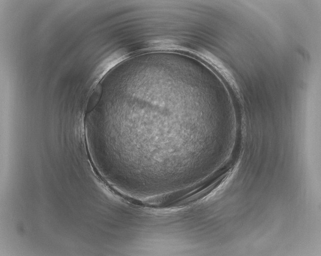 X0000116491289200912091413