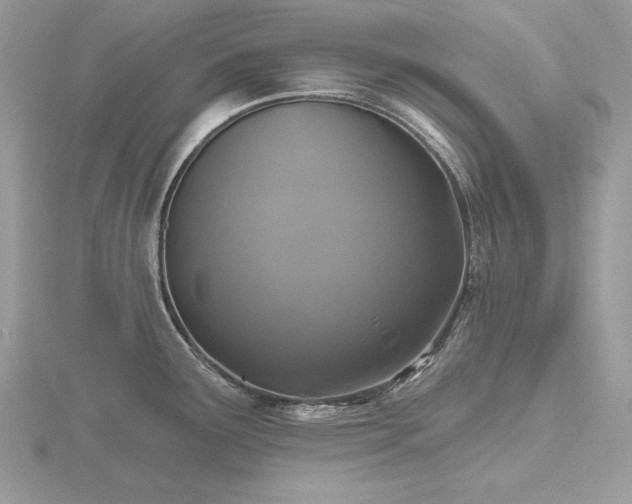 X0000116491291200912091413