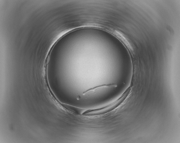 X0000116491292200912091413