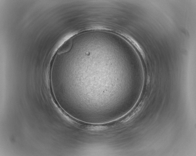 X0000116491293200912091413