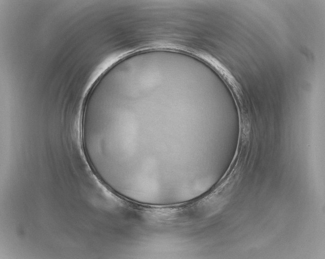 X0000116491294200912091413