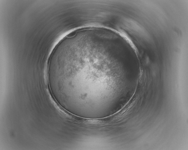 X0000116491295200912091413