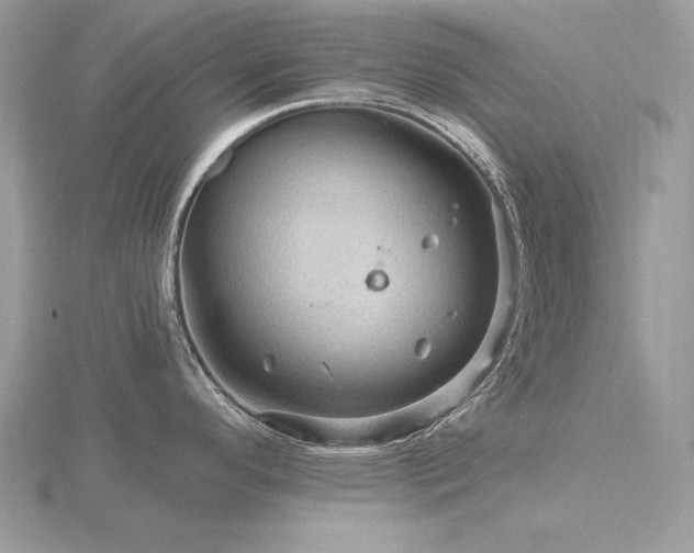 X0000116491296200912091413