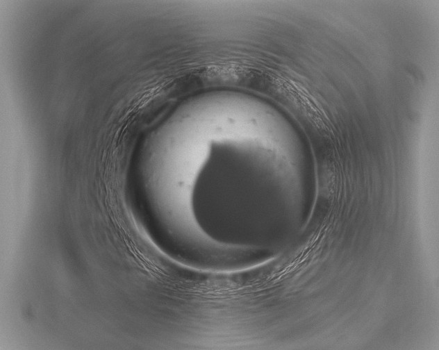 X0000116491297200912091412