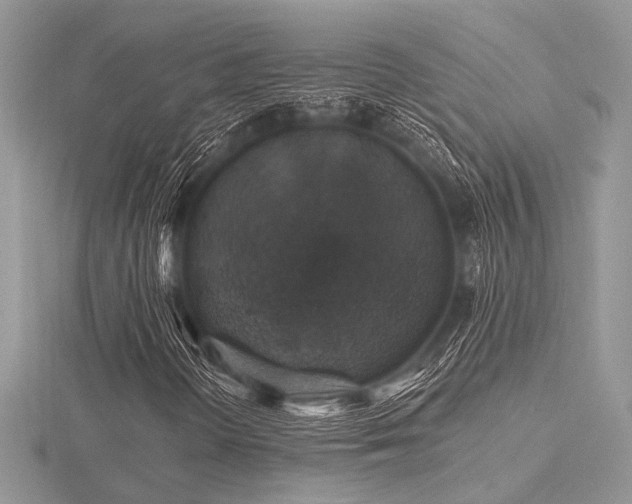 X0000116491298200912091412