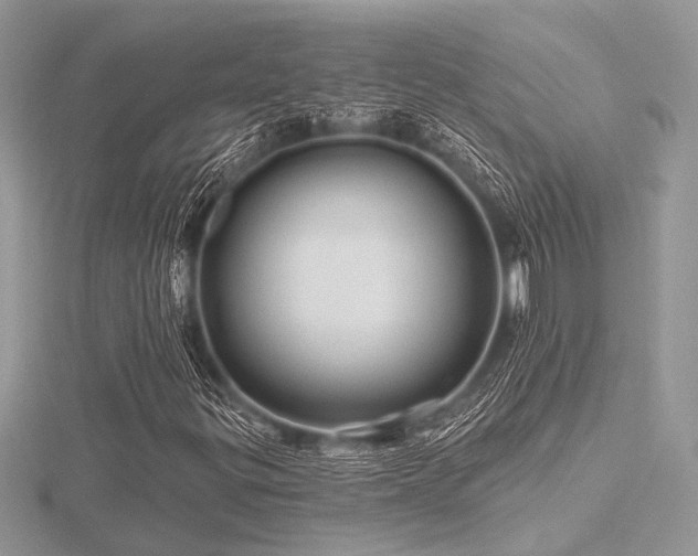 X0000116491299200912091412