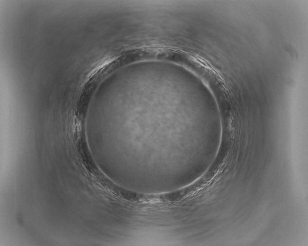 X0000116491302200912091412