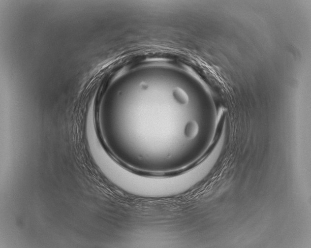 X0000116491303200912091412