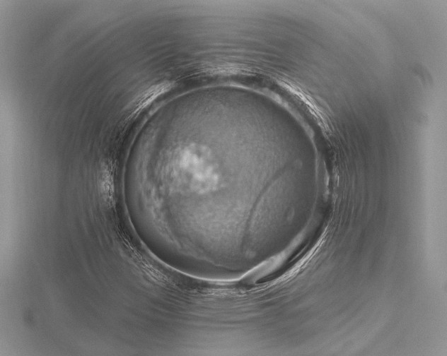 X0000116491305200912091412