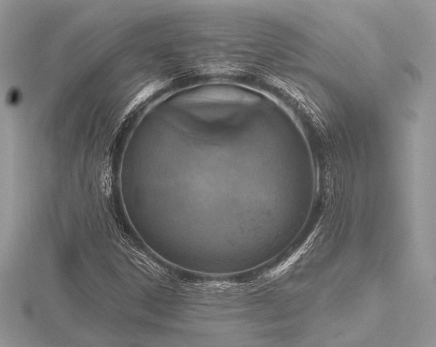 X0000116491306200912091412