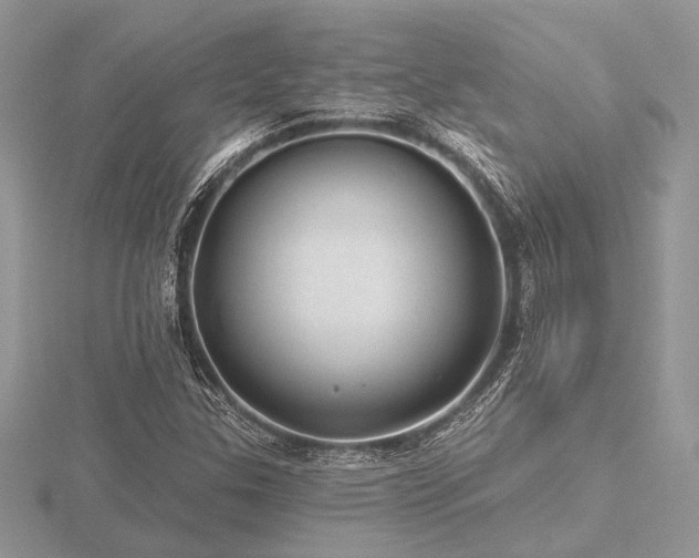 X0000116491307200912091412