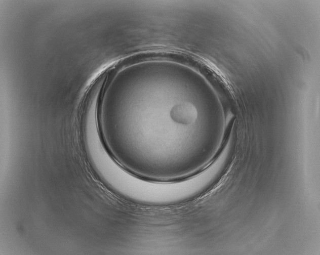 X0000116491310200912091413