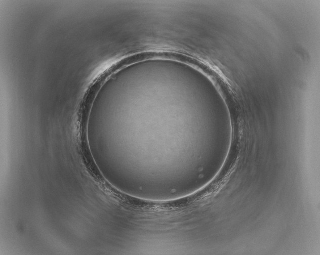 X0000116491311200912091413