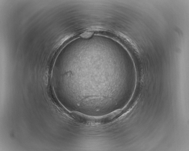 X0000116491313200912091413