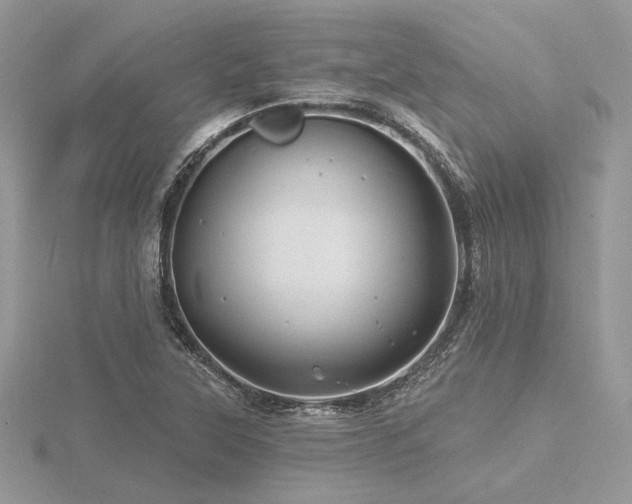 X0000116491315200912091413