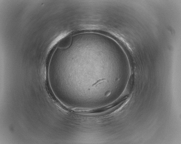 X0000116491317200912091413