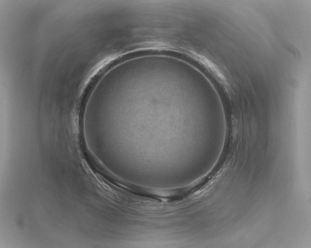 X0000116491318200912091413