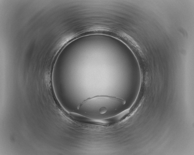 X0000116491321200912091413