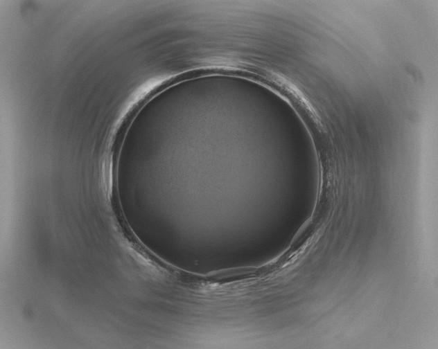 X0000116491323200912091413