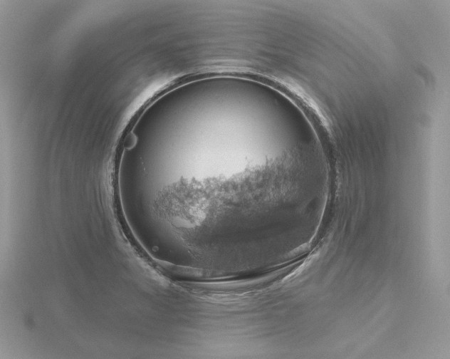 X0000116491325200912091413