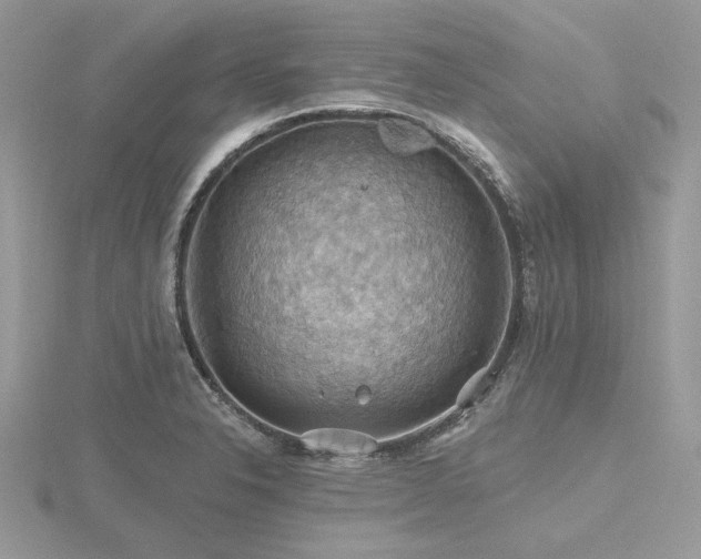 X0000116491326200912091413