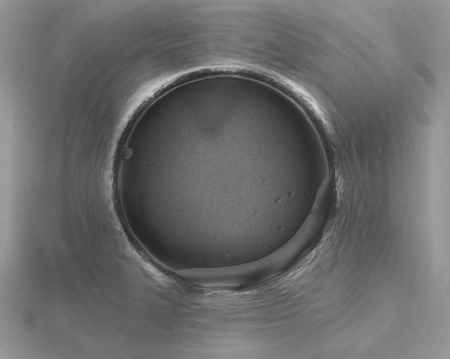 X0000116491327200912091413