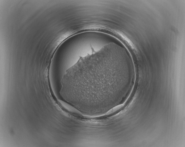 X0000116491329200912091413