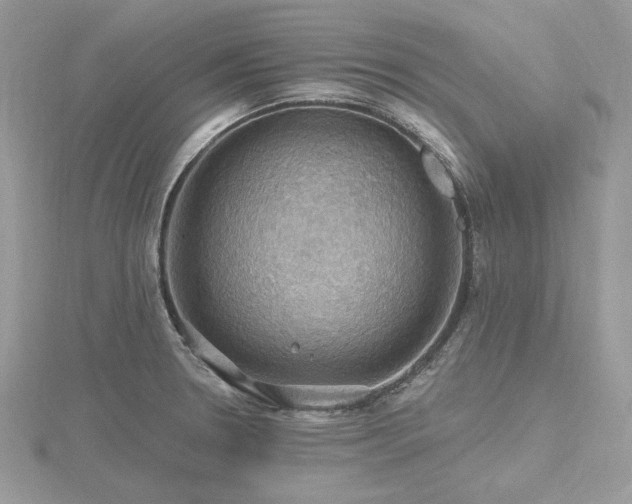 X0000116491330200912091413