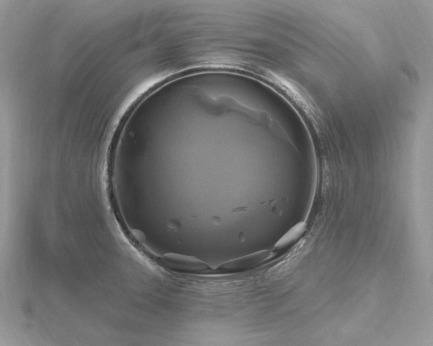 X0000116491331200912091413