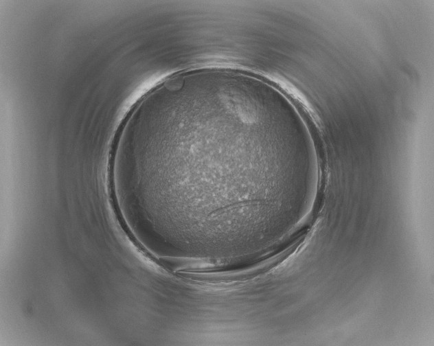 X0000116491333200912091413