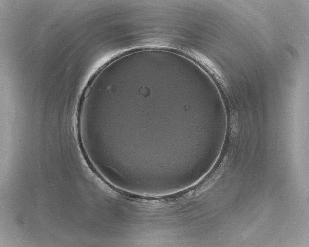 X0000116491334200912091413