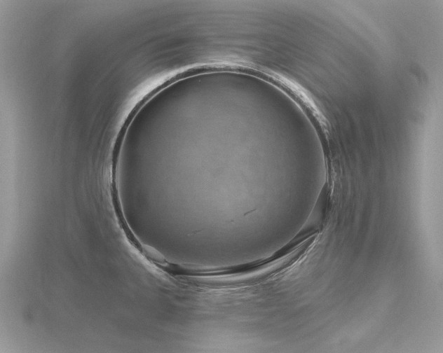 X0000116491335200912091413