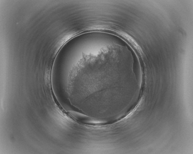 X0000116491337200912091413