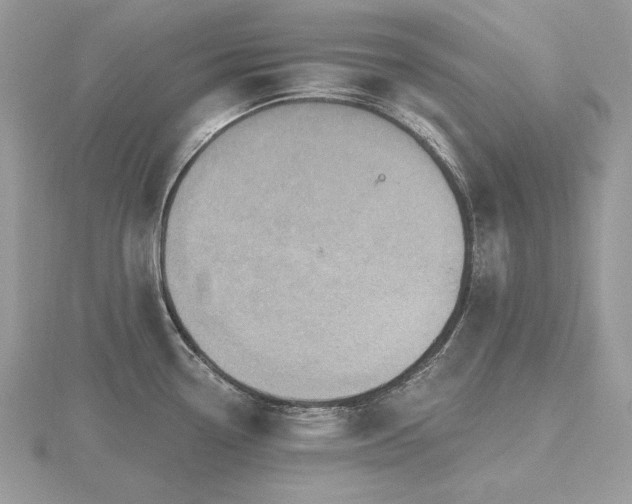 X0000116491338200912091413