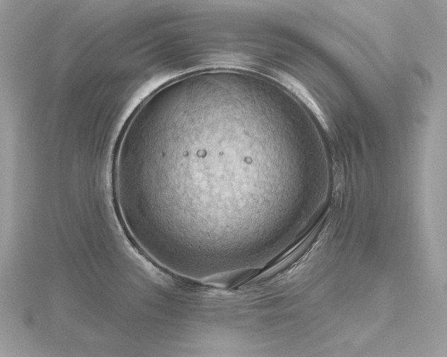 X0000116491339200912091413