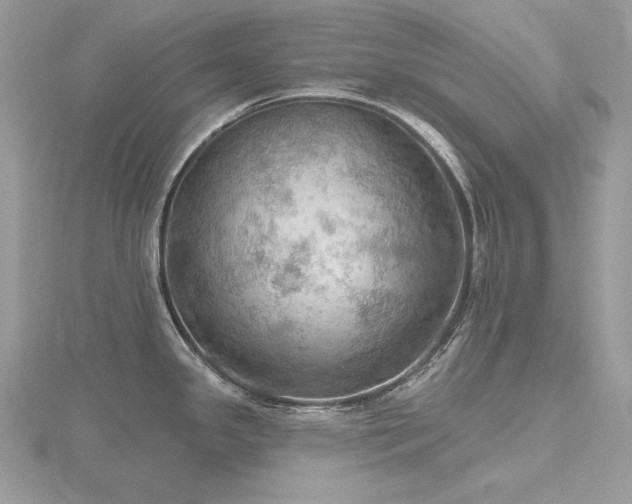 X0000116491341200912091413