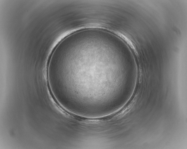 X0000116491342200912091413