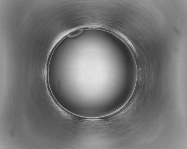 X0000116491343200912091413