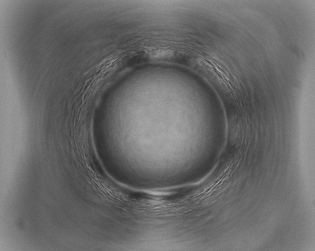 X0000116491345200912091412