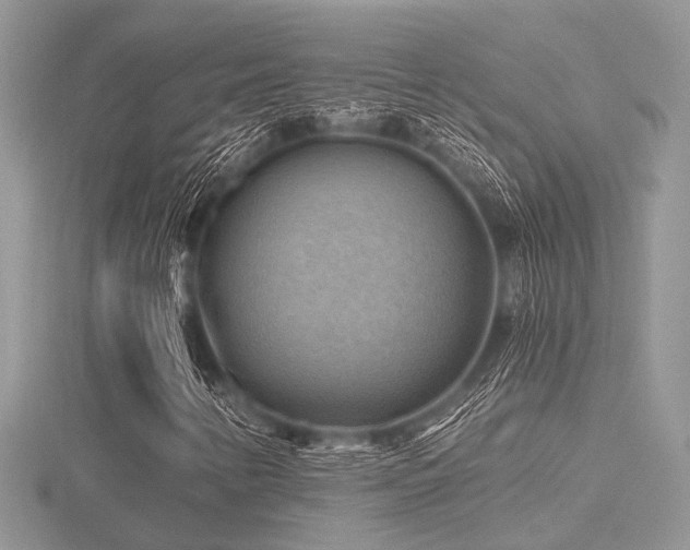 X0000116491346200912091412