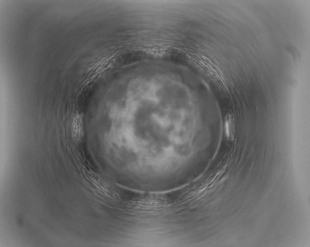 X0000116491347200912091412