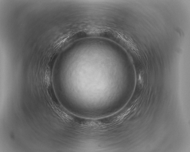 X0000116491348200912091412