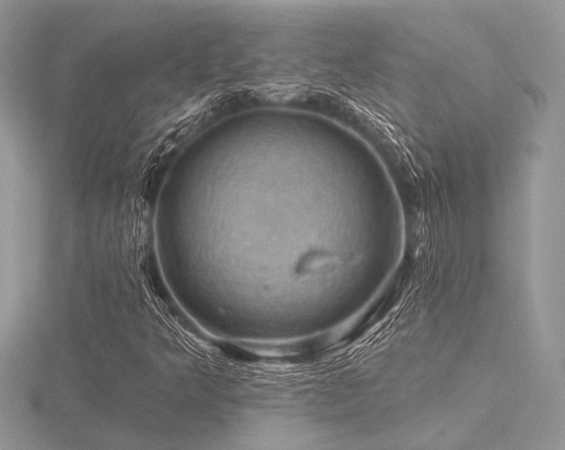 X0000116491349200912091412